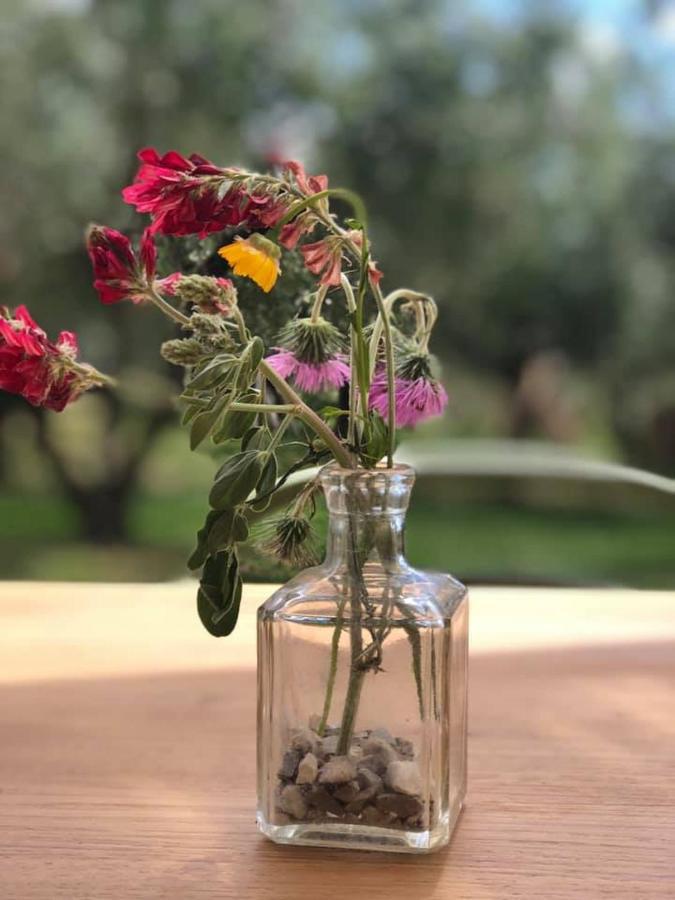 Вилла Casa Agricola Scorziello Serre  Экстерьер фото