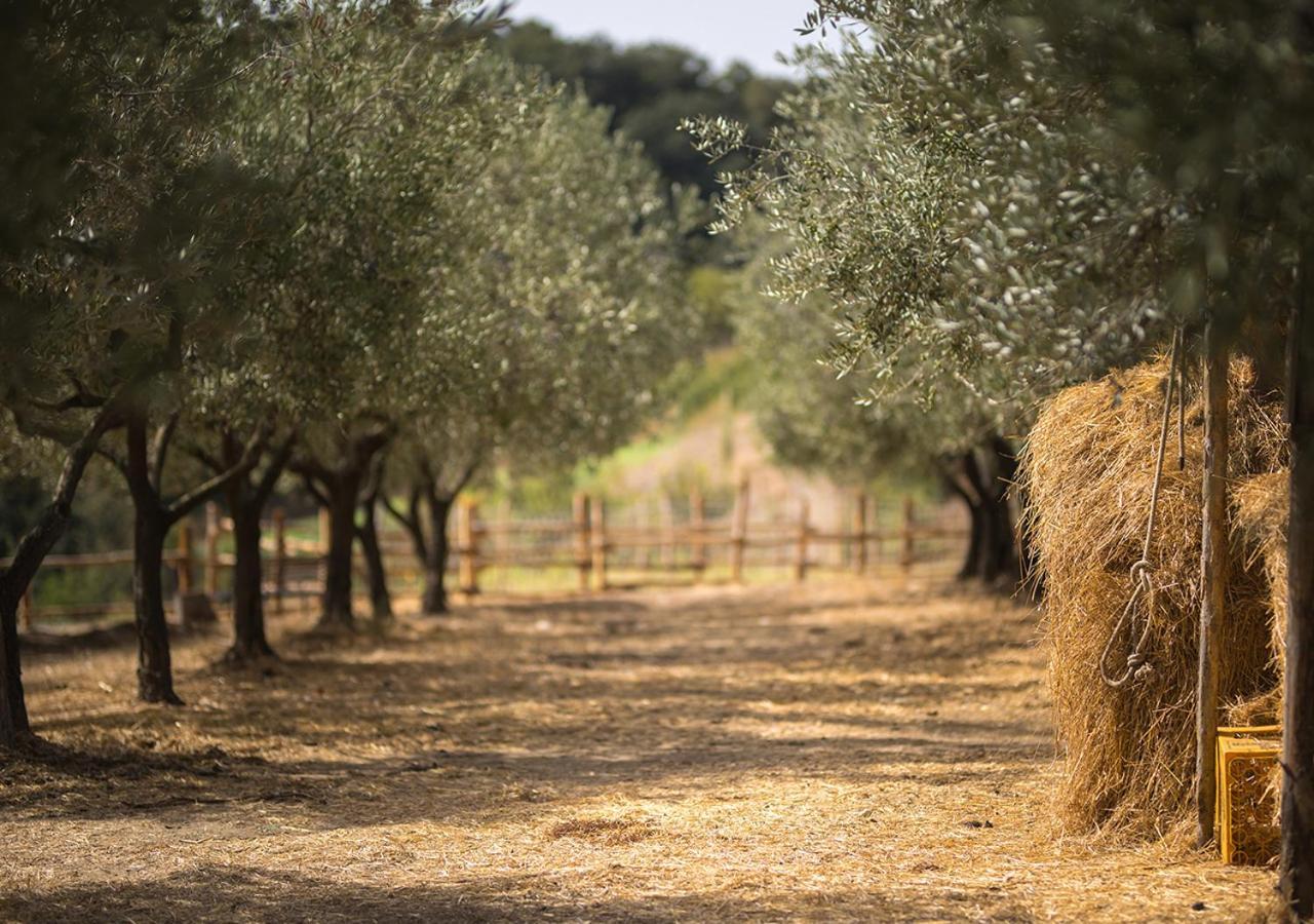 Вилла Casa Agricola Scorziello Serre  Экстерьер фото