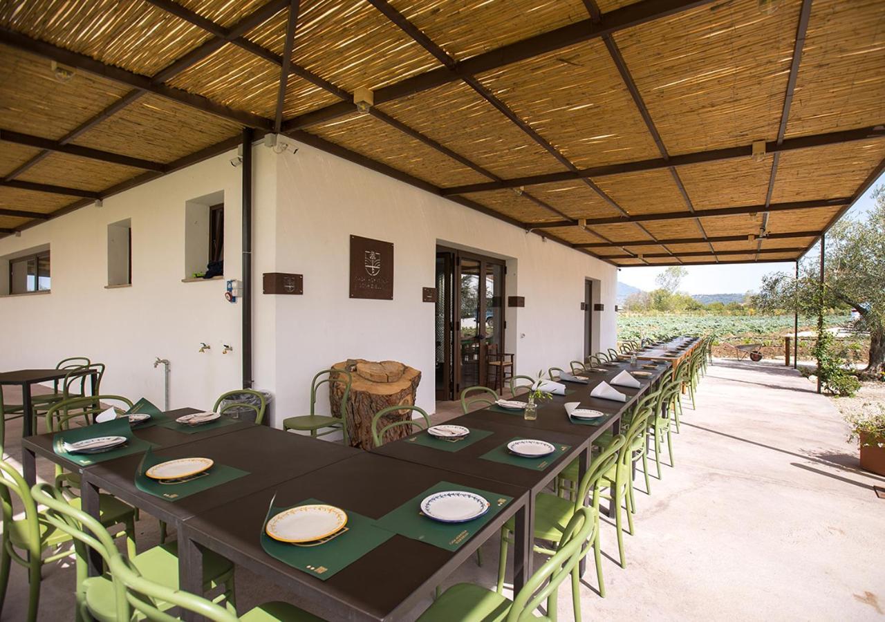 Вилла Casa Agricola Scorziello Serre  Экстерьер фото